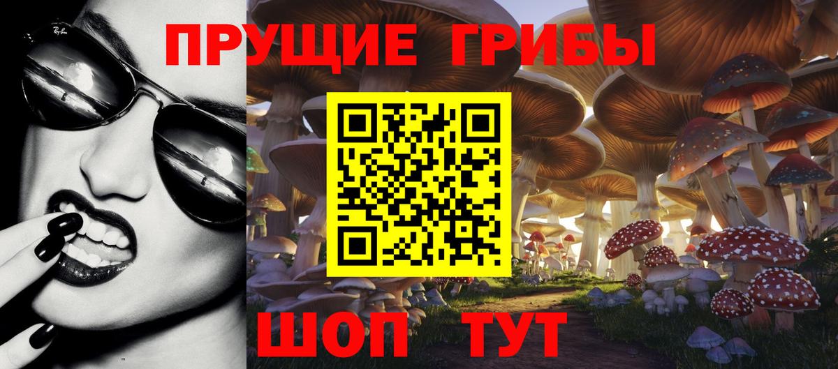 купить  сайты  Галлюциногенные грибы Magic Shrooms  Вход с VPN  Ивантеевка  Псилоцибиновые грибы Psilocybe 